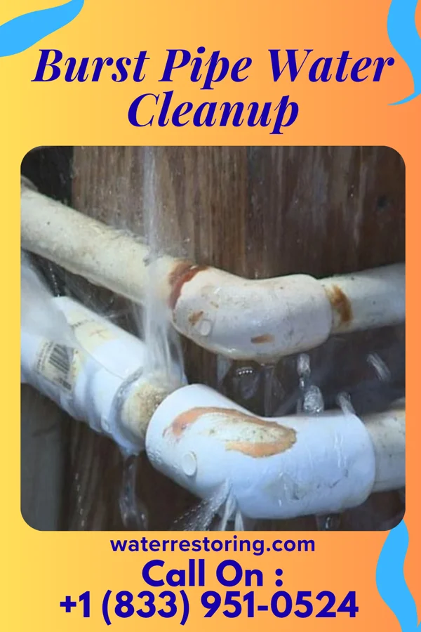 Burst Pipe Water Cleanup in Van Bibber Lake, IN