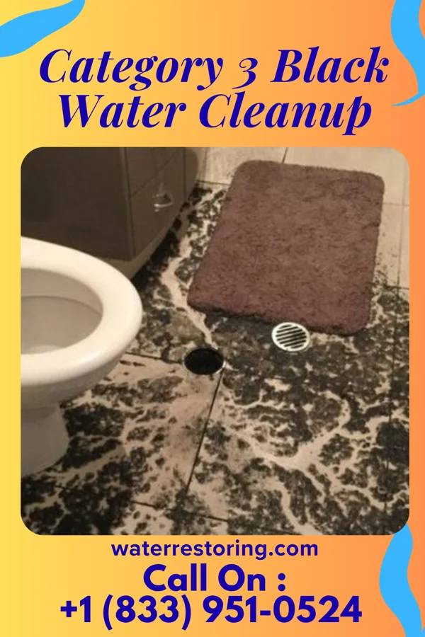 Category 3 Black Water Cleanup in Van Bibber Lake, IN