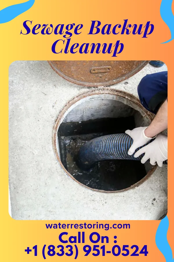 Sewage Backup Cleanup in Van Bibber Lake, IN