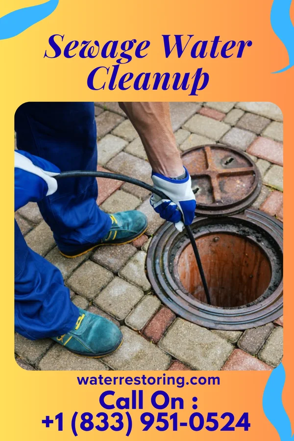 Sewage Water Cleanup in Van Bibber Lake, IN